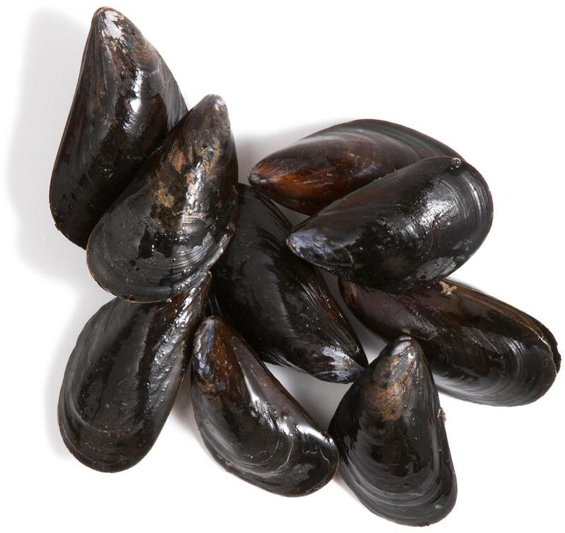 Black Mussels
